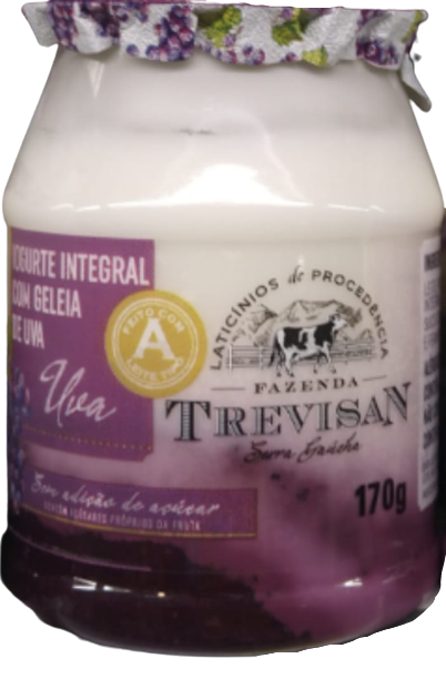 Iogurte com Geleia de Uva Integral FAZENDA TREVISAN 170g