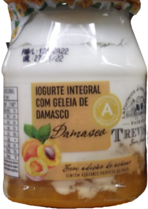 Iogurte Integral com Geleia de Damasco Trevisan 170gr 